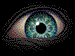 Avatar de ypqno???